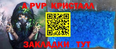 индика Гусев