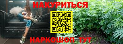 индика Гусев