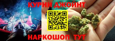 индика Гусев