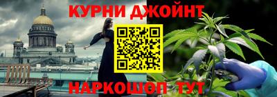 индика Гусев
