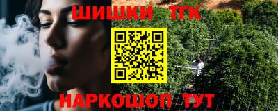 индика Гусев