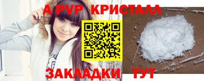 индика Гусев