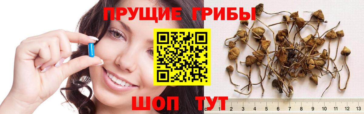 Галлюциногенные грибы MAGIC MUSHROOMS Назарово